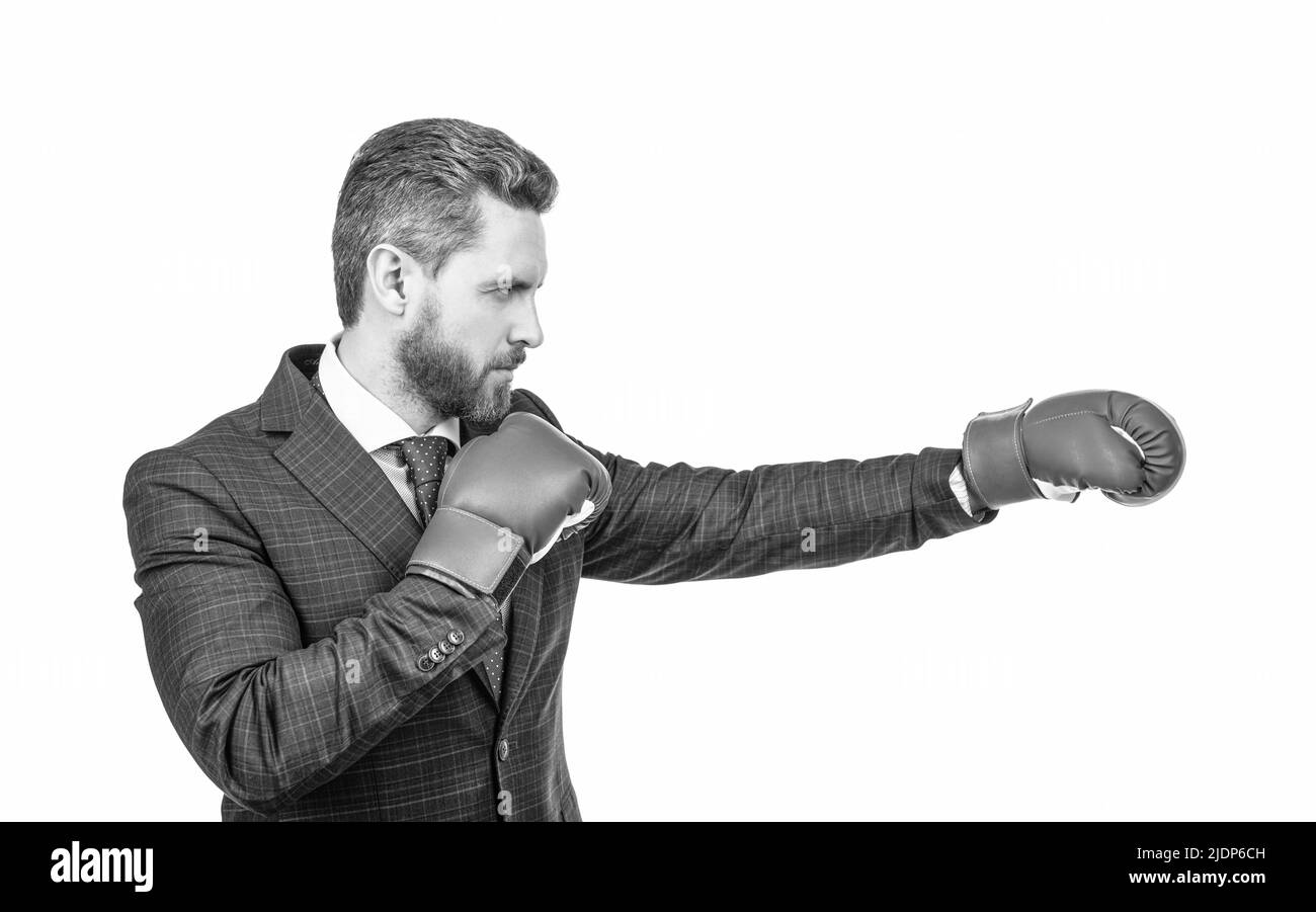 Stanzen. Erfolgreicher ceo Boxer. Unerbittlicher Kampf und Erfolg. Mann bereit für den Unternehmenskampf. Stockfoto