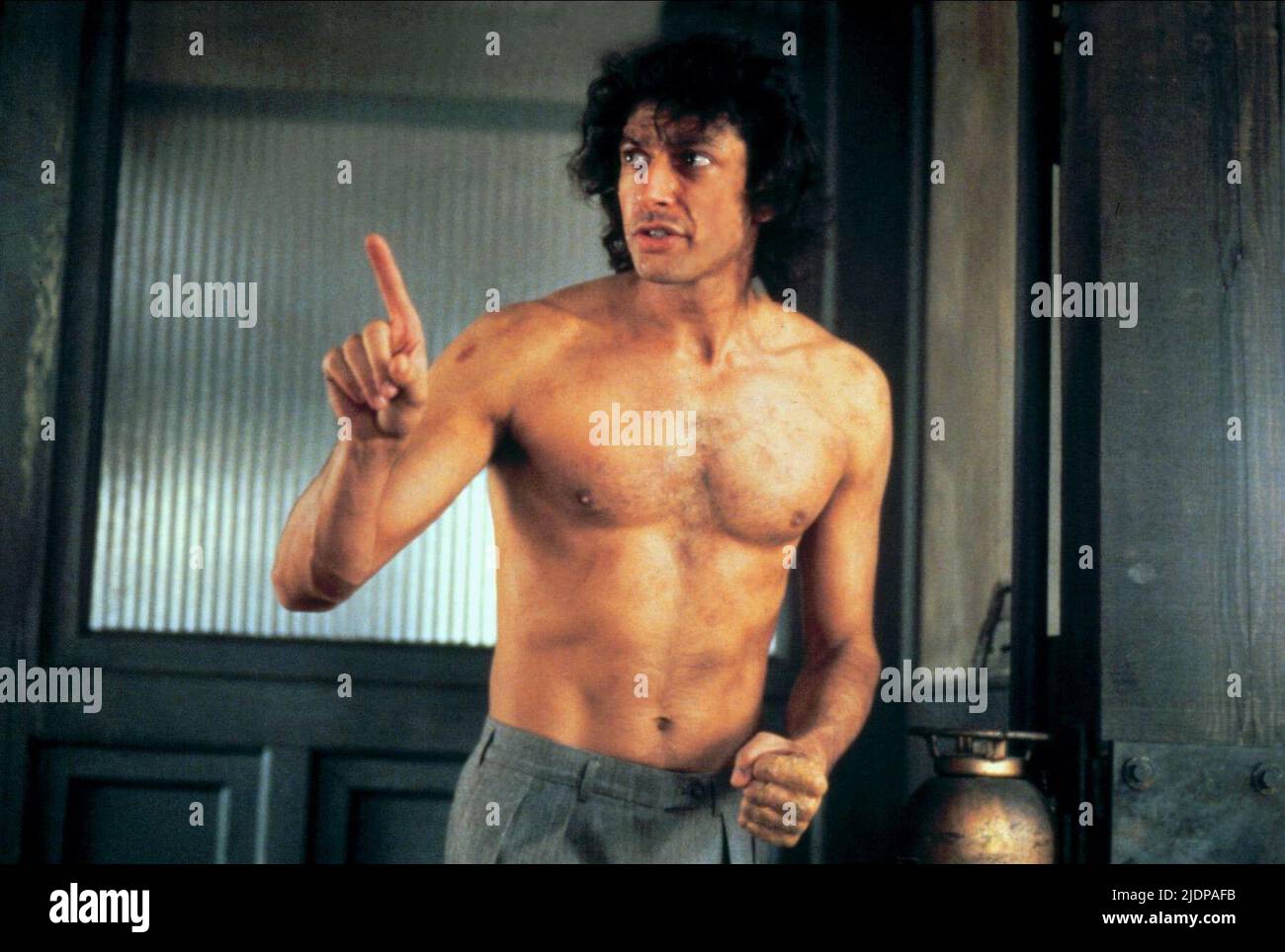JEFF GOLDBLUM, die Fliege, 1986 Stockfoto