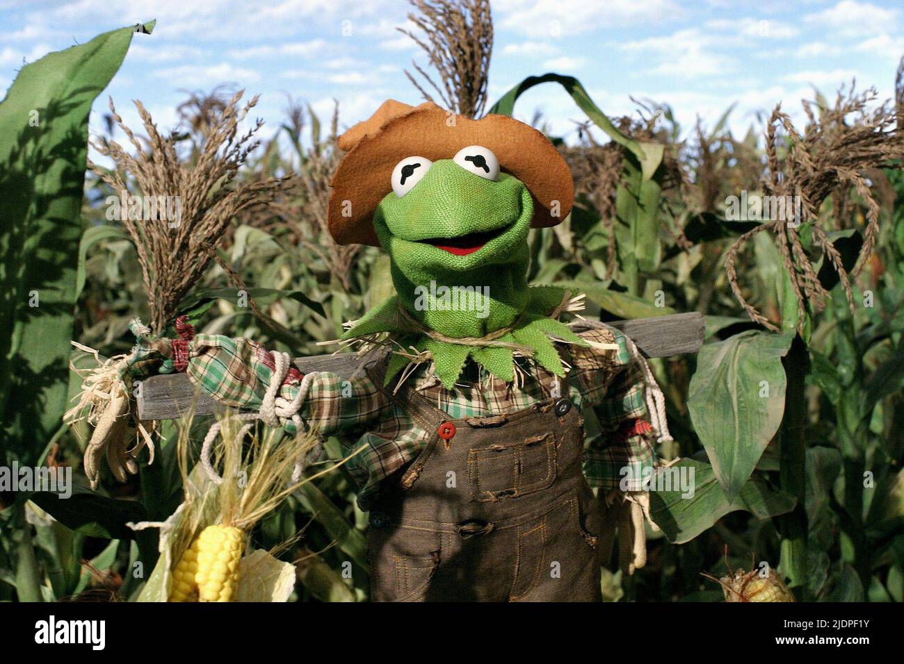 KERMIT, DER FROSCH, DER ZAUBERER DER MUPPETS, 2005 Stockfoto