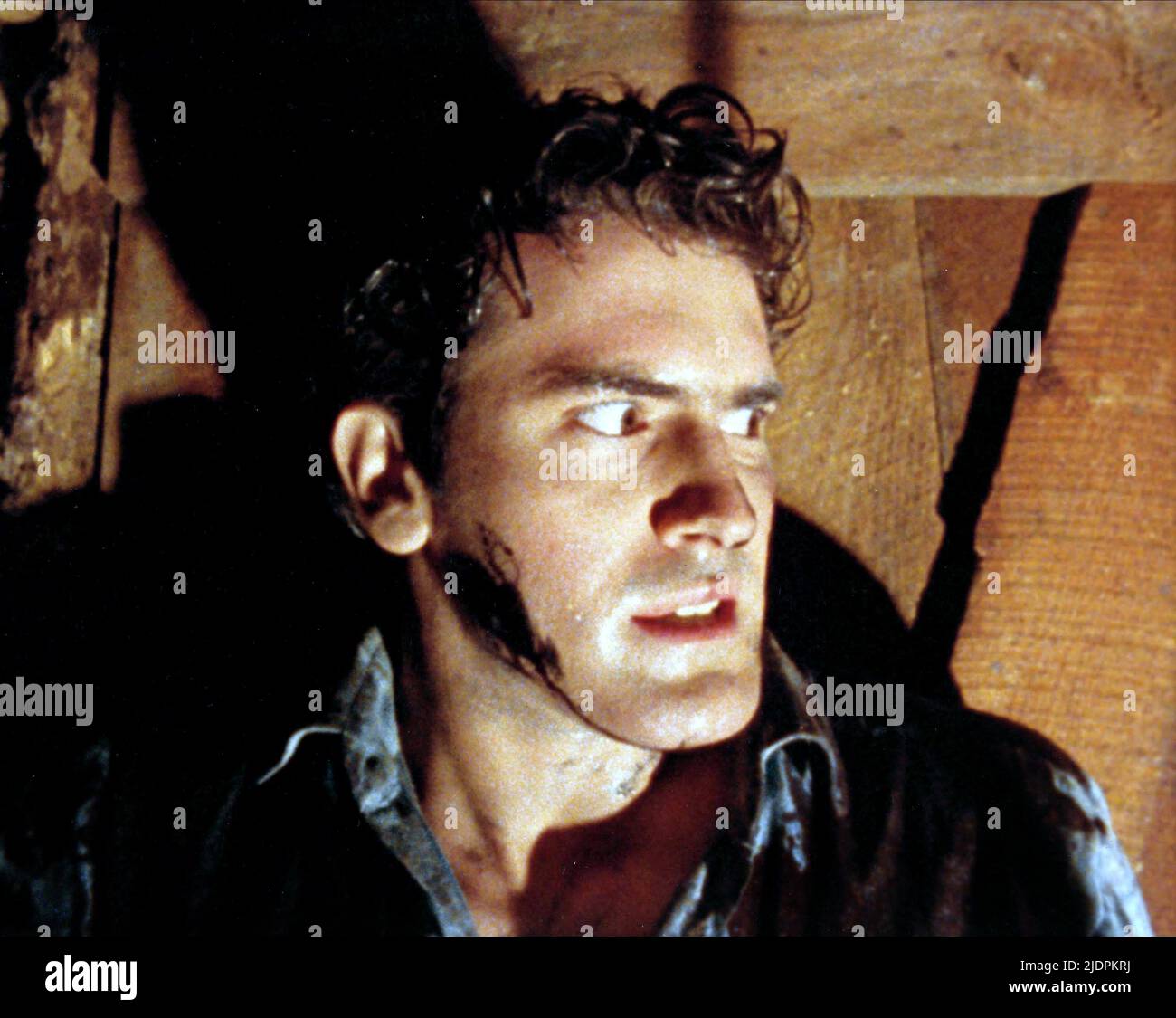 BRUCE CAMPBELL, die "Evil Dead", 1981 Stockfoto