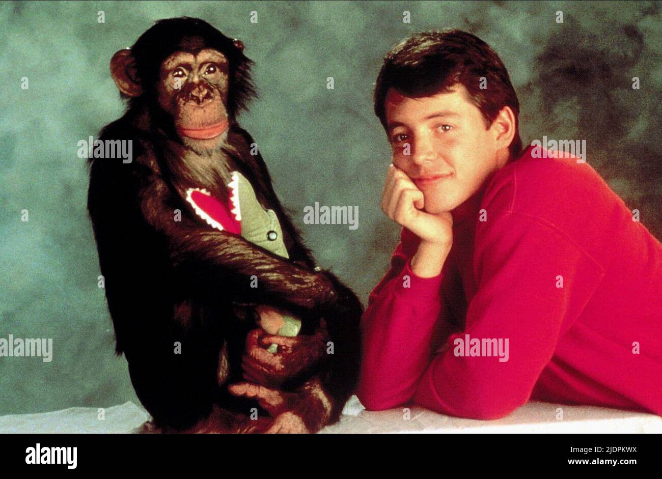 SCHIMPANSE, BRODERICK, PROJEKT X, 1987 Stockfoto