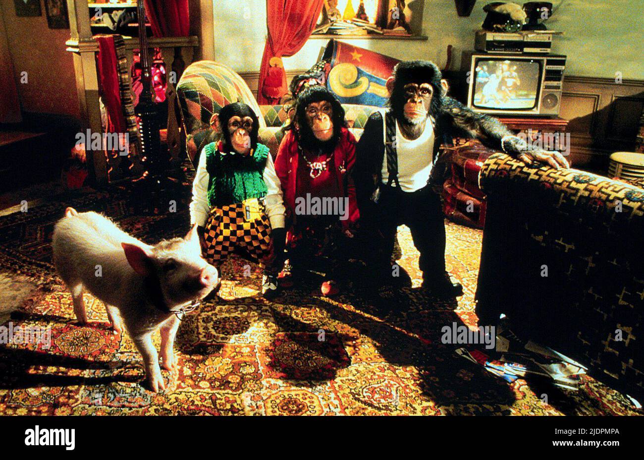 BABE , ZOOTIE, BOB, BABE: PIG IN DER STADT, 1998 Stockfoto