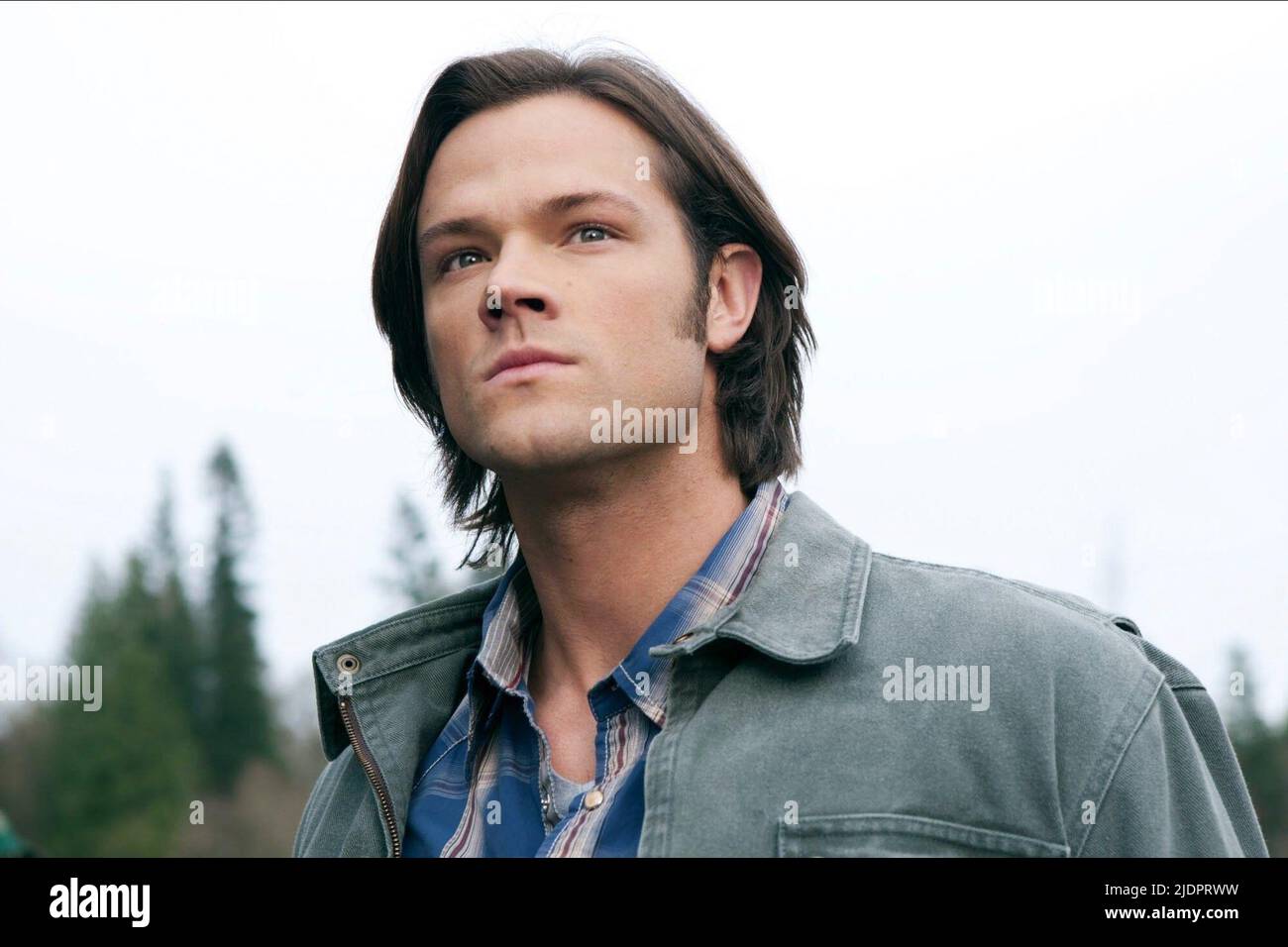 JARED PADALECKI, SUPERNATURAL : SAISON 5, 2009, Stockfoto