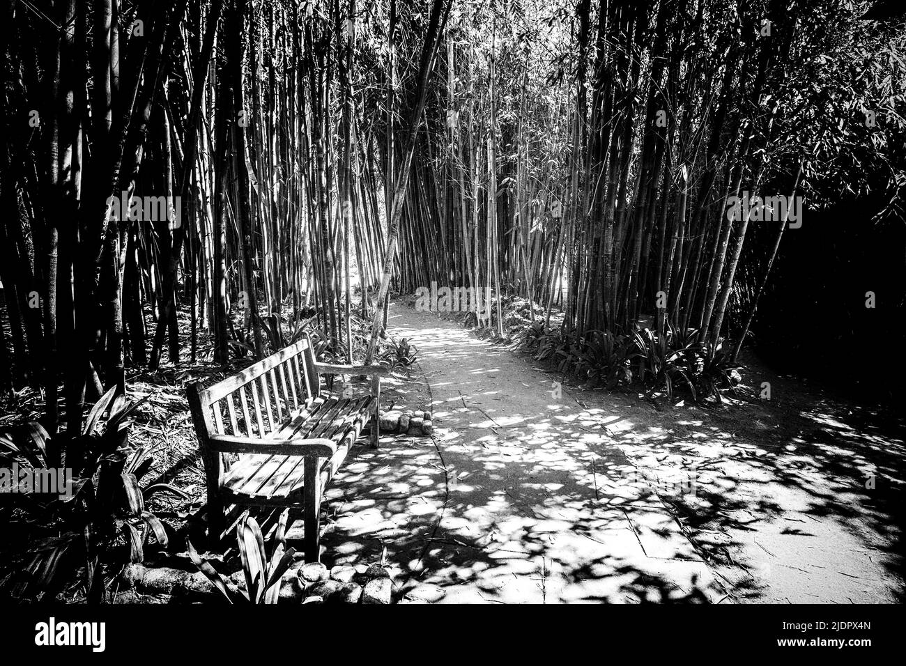 Die Huntington Botanical Gardens befinden sich im Süden von Pasadena, Kalifornien, USA. Stockfoto