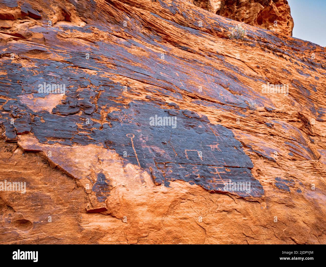 Nahaufnahme von Petroglyphen, die durch Wüstenlack geschnitzt wurden, so dass das rote Gestein des aztekischen Sandsteins durch das Petroglyph Canyon Valley of Fire Nevada leuchtet Stockfoto