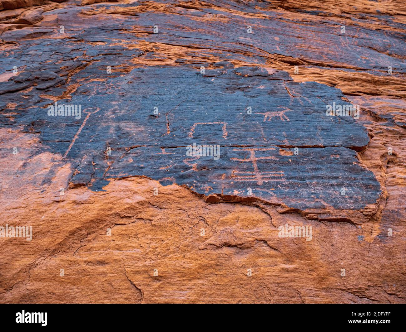 Nahaufnahme von Petroglyphen, die durch Wüstenlack geschnitzt wurden, so dass das rote Gestein des aztekischen Sandsteins durch das Petroglyph Canyon Valley of Fire Nevada leuchtet Stockfoto