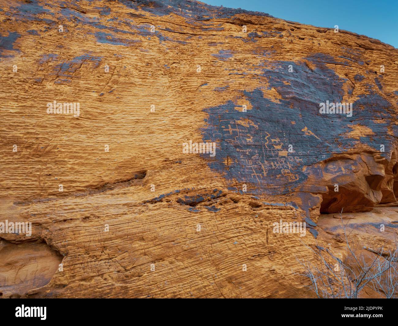 Petroglyphen, die durch Wüstenlack geschnitzt wurden, so dass das rote Gestein des Azteken-Sandsteins unten durch den Valley of Fire State Park, Nevada USA, leuchtet Stockfoto