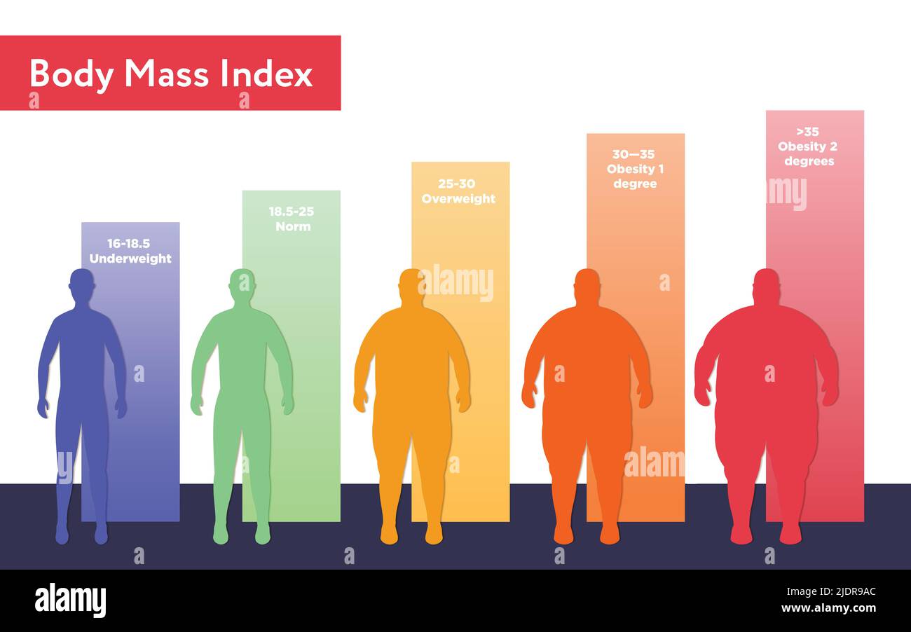 Vektorgrafik mit BMI-Diagramm. Stock Vektor