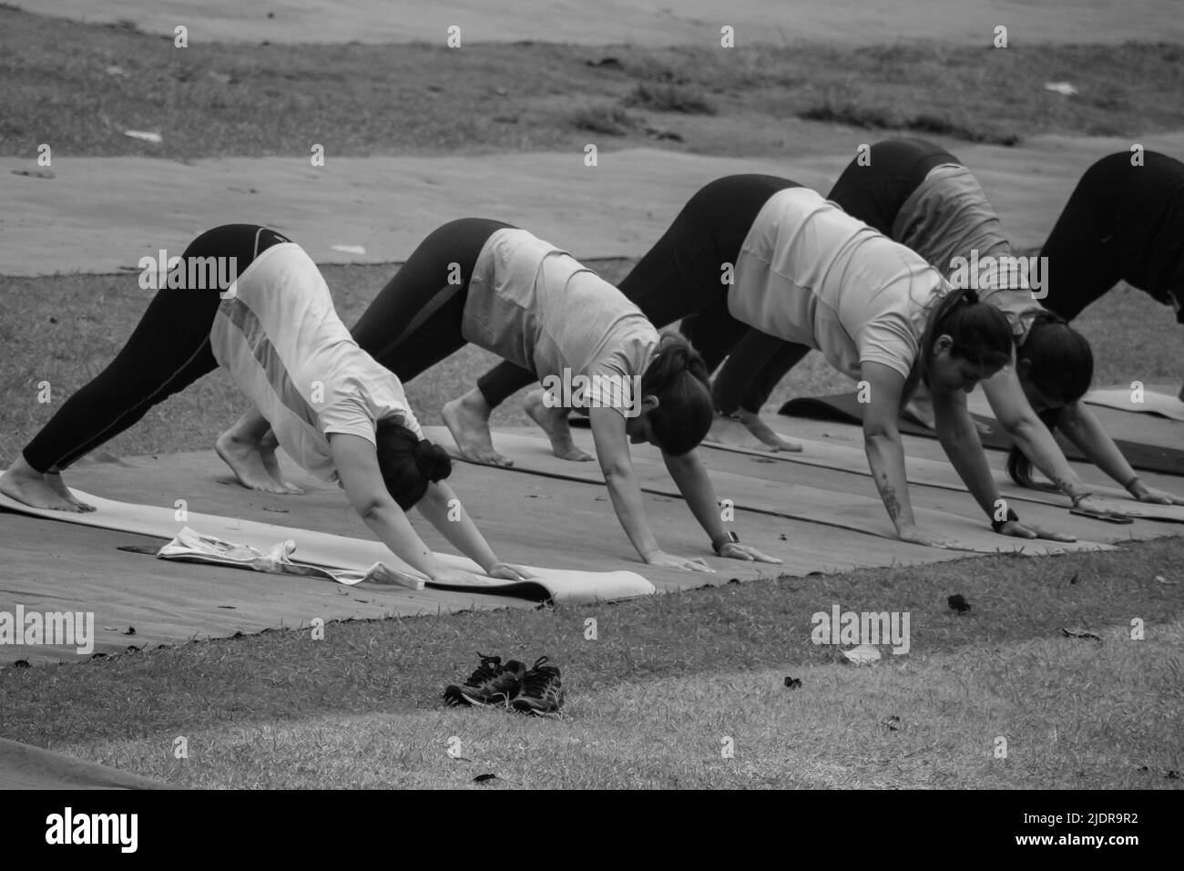 Delhi, Indien, Juni 18 2022 - Gruppen-Yoga-Übungskurs Surya Namashkar für Menschen unterschiedlichen Alters im Lodhi Garden. Internationaler Yoga-Tag, große Gruppe Stockfoto