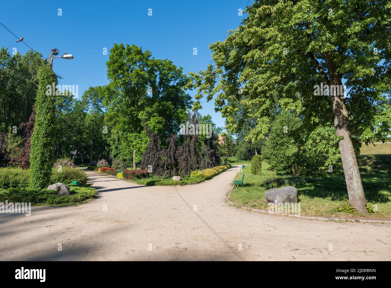 Park Marii Konopnickiej in der Stadt Ciechanów, Masovia, Polen. Stockfoto