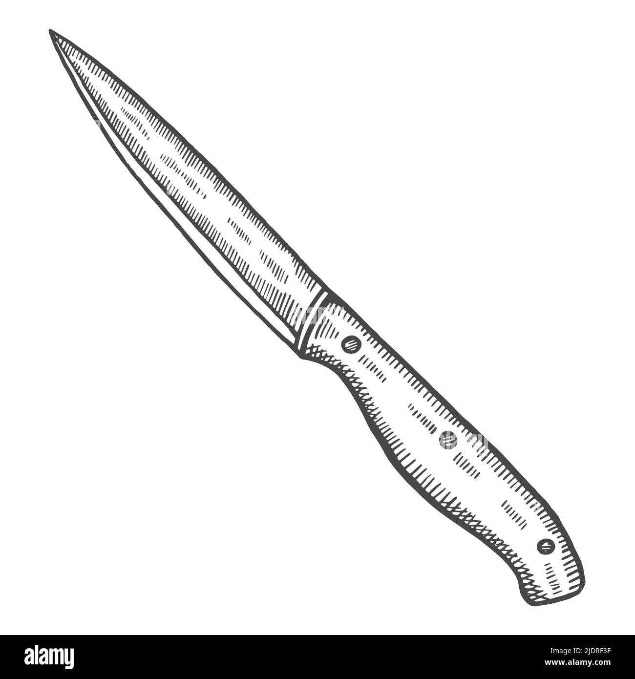 Küche Schnitzmesser isoliert Doodle handgezeichnete Skizze mit Kontur Stil Vektor Illustration Stockfoto