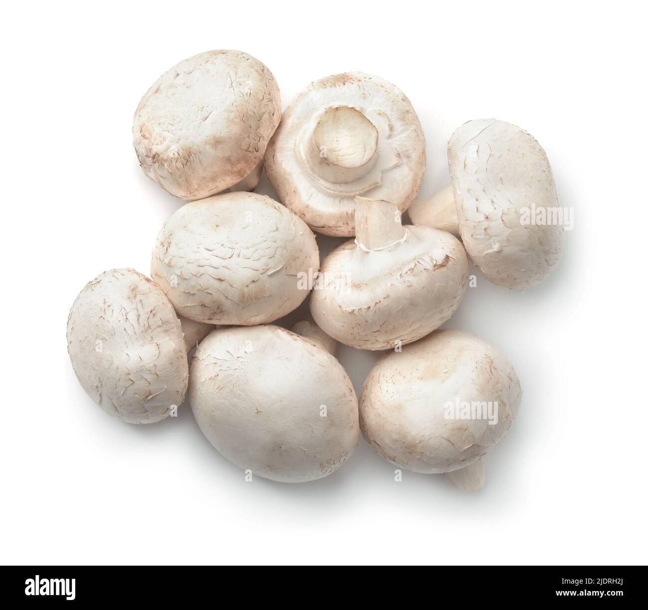 Draufsicht auf gewöhnliche Champignons isoliert auf Weiß Stockfoto