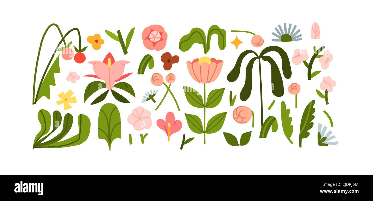 Handgezeichnete Vektor abstrakte Grafik Cliparts Illustrationen Sammlung Set von Komposition mit abstrakten boho Natur Formen von Blüten und Stock Vektor