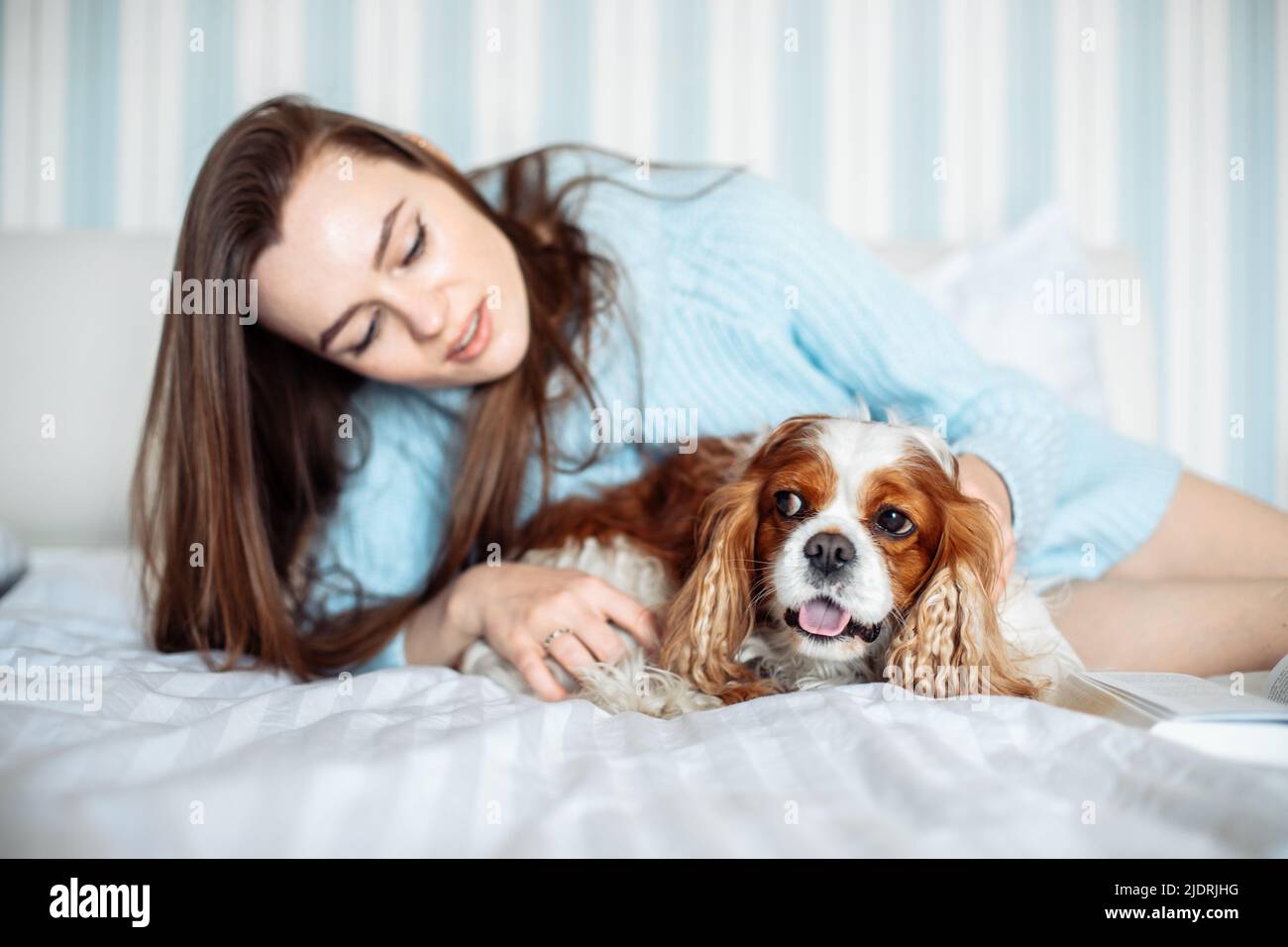 Nette junge Frau mit langen Haaren trägt blauen Strickpullover auf dem Bett liegend mit Hund im Schlafzimmer, Tierbesitzer Stockfoto