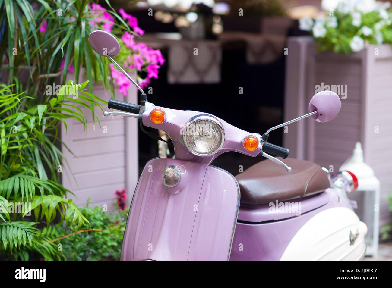 Der leuchtend rosa italienische Roller Stockfoto