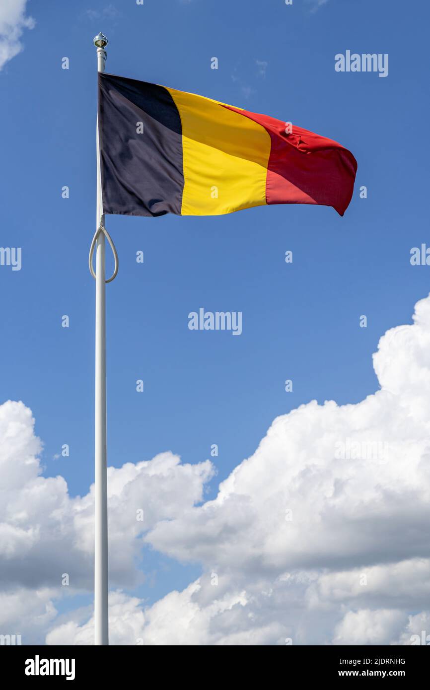 Flagge Belgiens im Wind Stockfoto