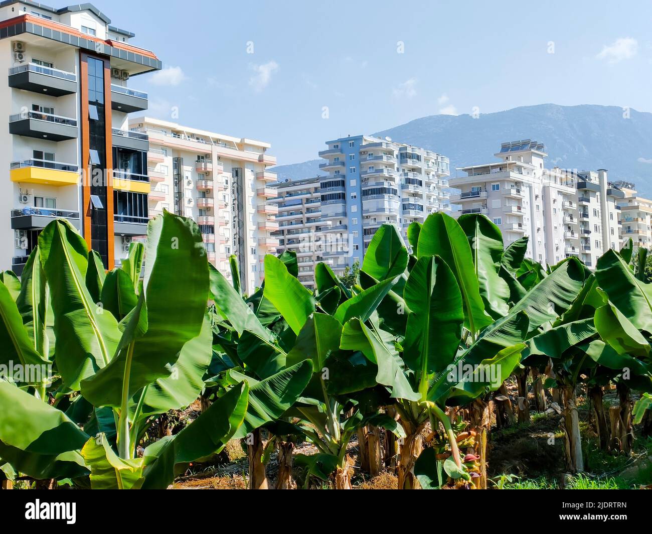 Moderne stadt beherbergt hintergrund -Fotos und -Bildmaterial in hoher ...
