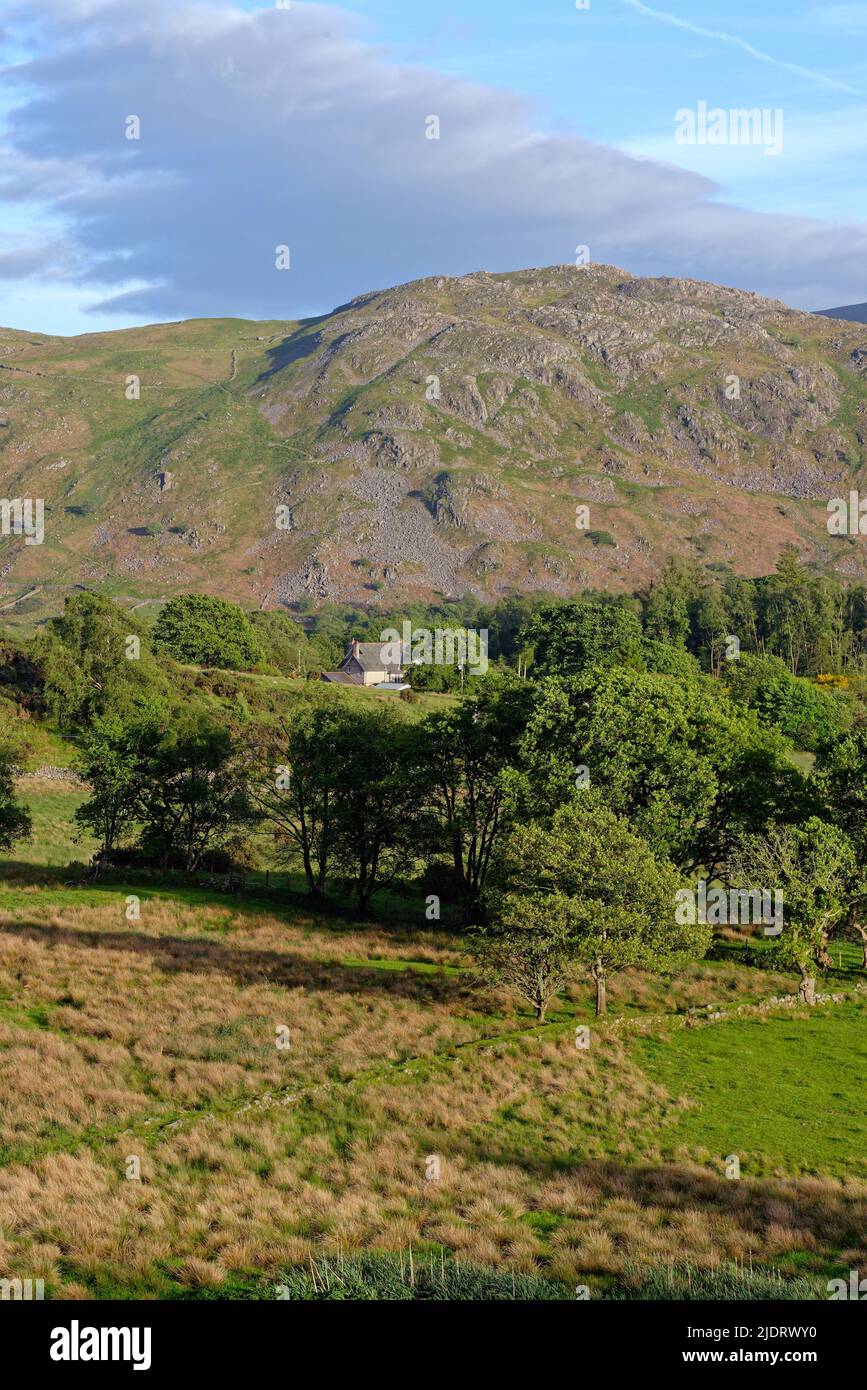 Eine abgelegene Hütte inmitten von Mooren im Eskdale Tal an einem Sommertag, Lake District Cumbria England Großbritannien Stockfoto