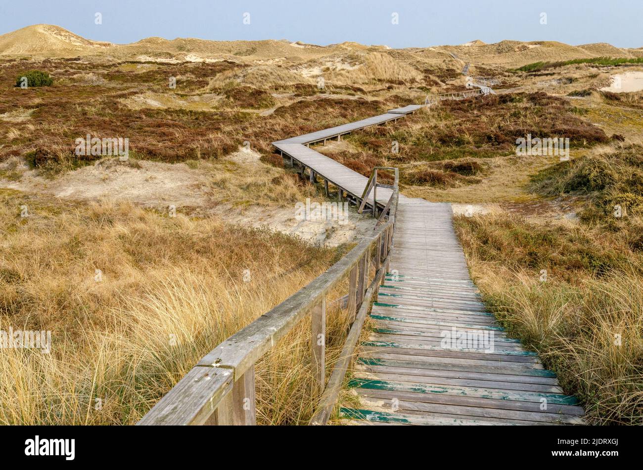 Langer Weg durch die Dünenlandschaft Stockfoto