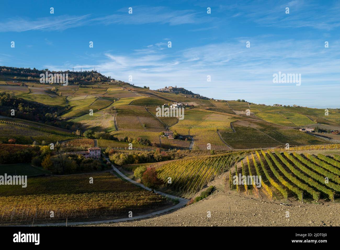 Herbstlicht in den Weinbergen von Barolo, Cuneo inmitten der sanften Hügel und Dörfer auf den Hügeln erste Spur von Herbst in Weinland. Stockfoto