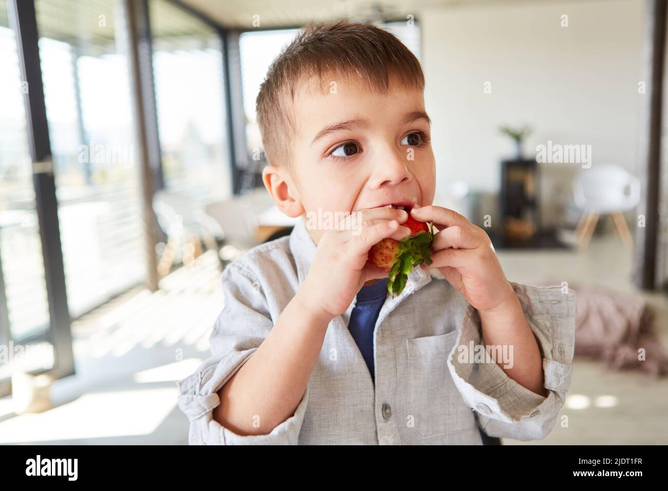 Der kleine Junge isst frische Erdbeeren für eine gesunde Ernährung und Vitamine im Wohnzimmer Stockfoto