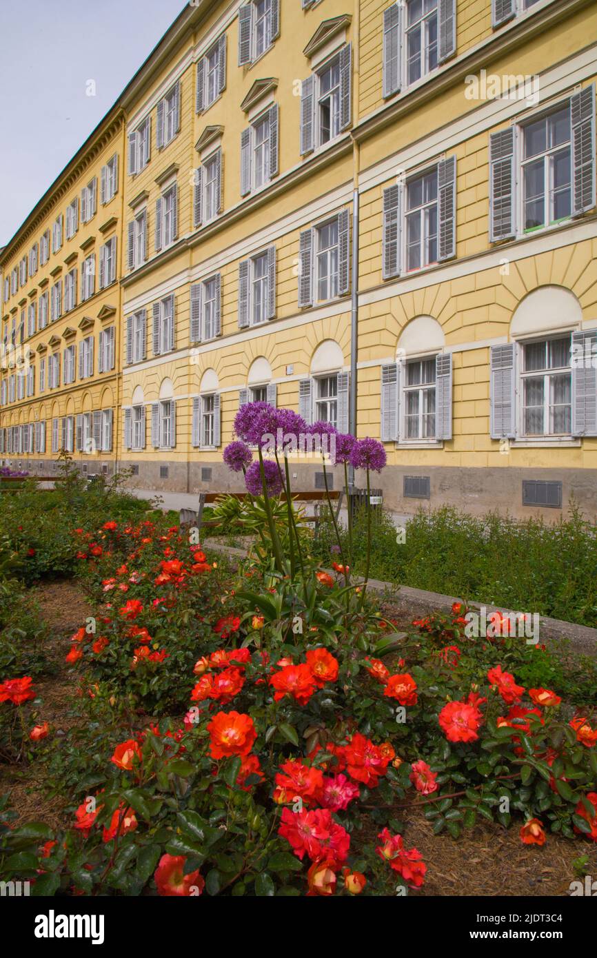 Österreich, Steiermark, Graz, Rosarium, Roseggergarten, Stockfoto