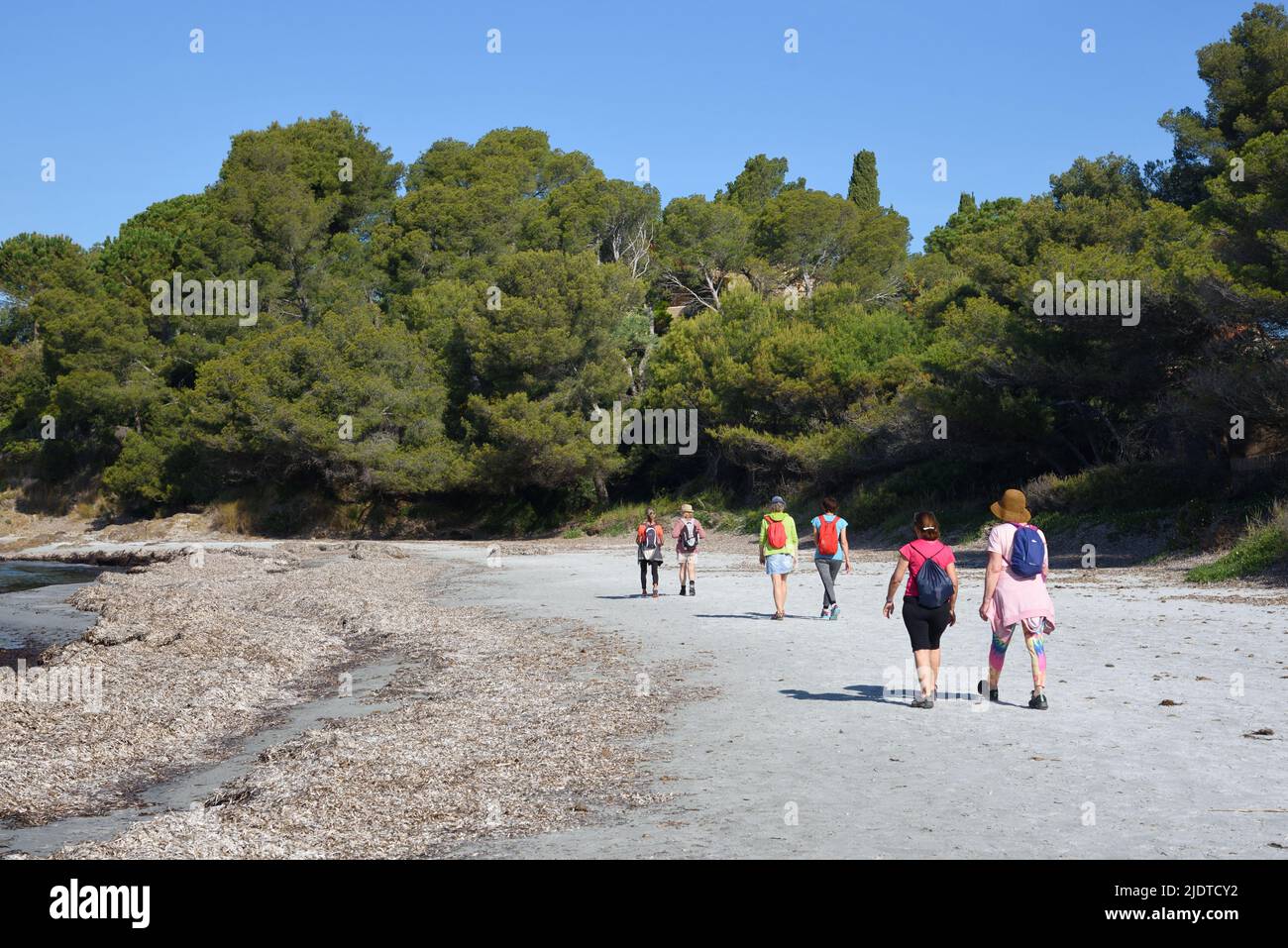 Sechs Frauen oder Frauen, die den Strand überqueren oder den Plage de la Mere Dieu auf dem Küstenpfad oder den Sentier du Littoral Bormes-les-Mimosas Côte-d'Azur Frankreich Stockfoto