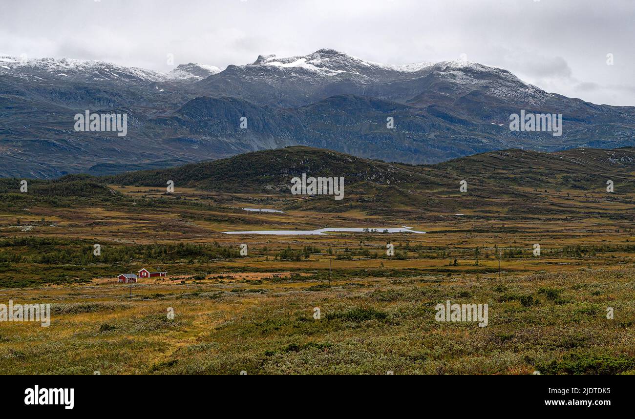 Blick Richtung Knaushögde und Melbysfjellet bei Beitohölen, Oppland, Norwegen. Stockfoto