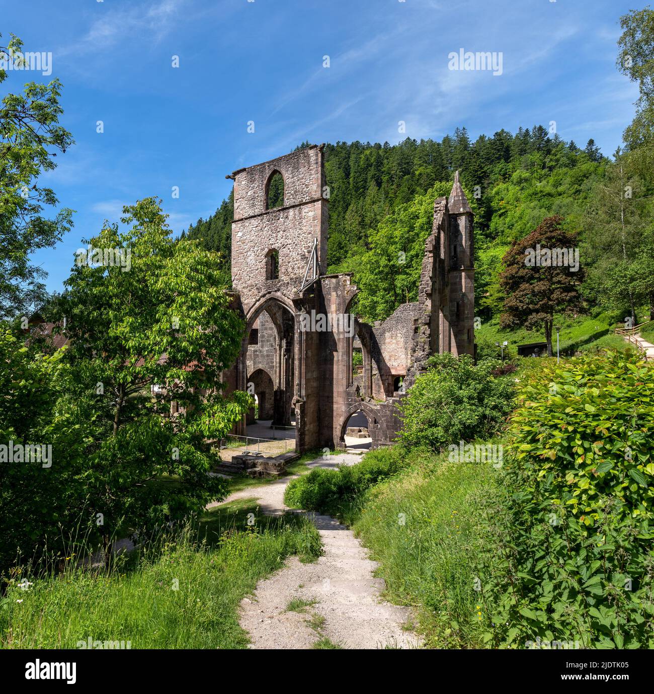 Weg zur Ruine der Allerheiligen (Kloster Allerheiligen), Schwarzwald, Deutschland Stockfoto