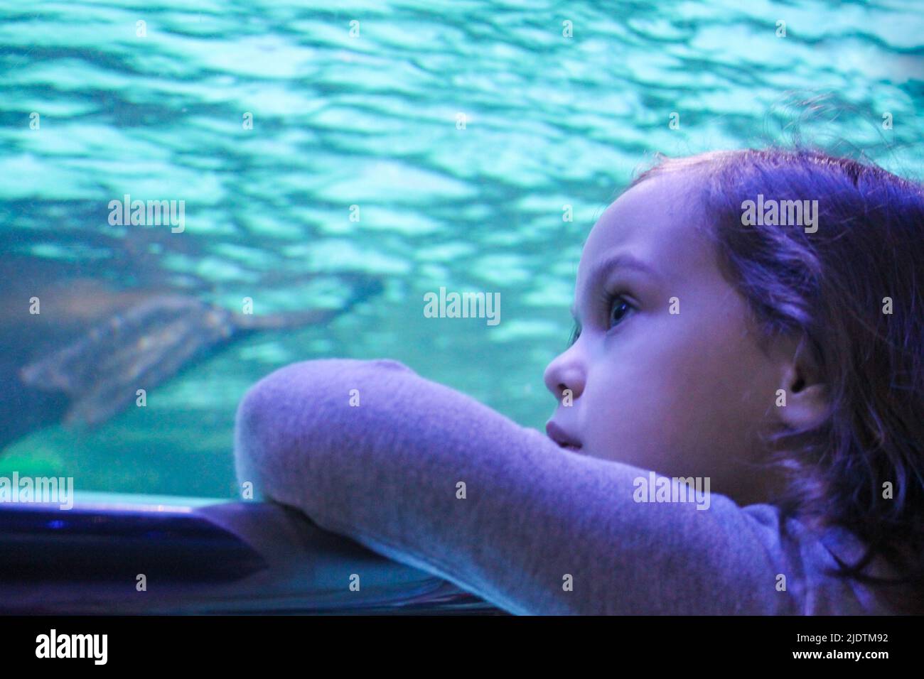 Nettes blondes Kleinkind Mädchen mit Bewunderung Blick auf Meerestiere in einem riesigen Aquarium. Speicherplatz kopieren. Stockfoto