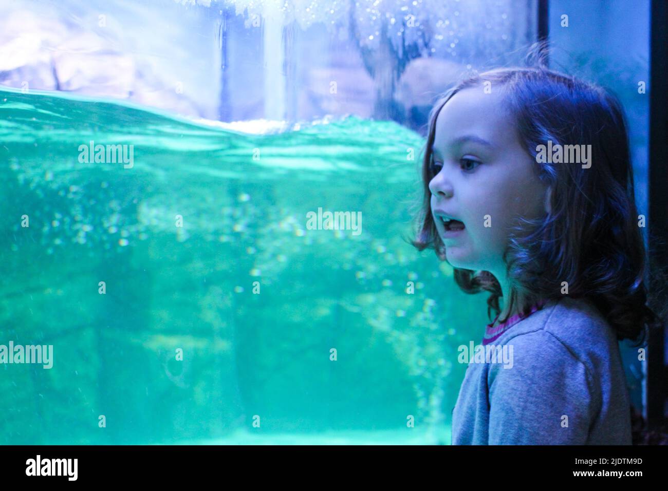 Nettes blondes Kleinkind Mädchen mit Bewunderung Blick auf Meerestiere in einem riesigen Aquarium. Speicherplatz kopieren. Stockfoto