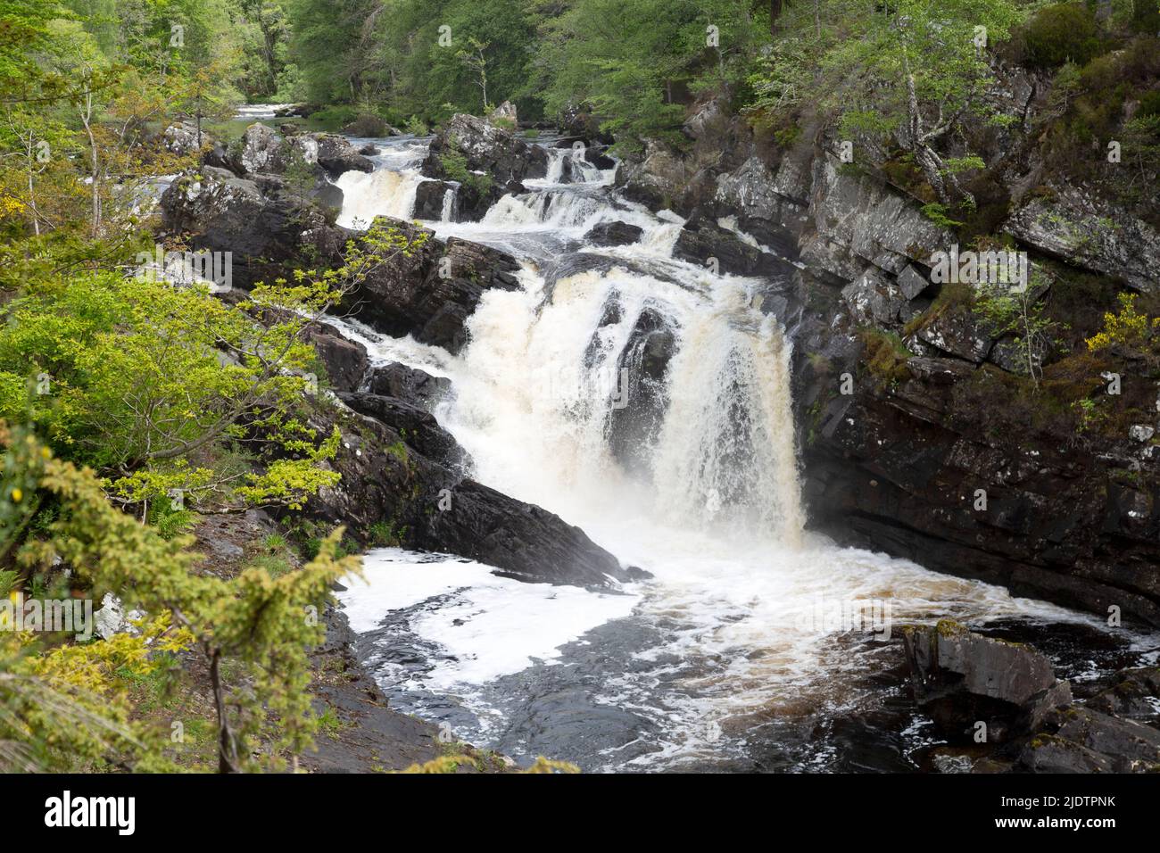 Rogie Falls (Gälisch: EAS Rothagaidh), Wasserfälle am Schwarzen Wasser, Fluss in Ross-Shire in den Highlands of Scotland. Stockfoto