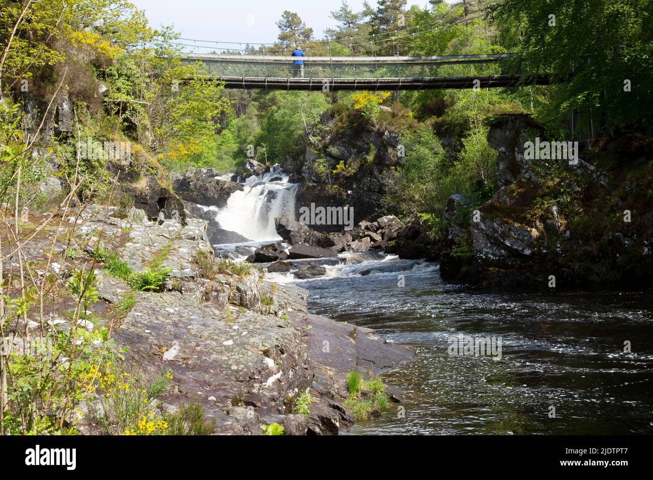 Fußgängerbrücke über die Rogie Falls (Gälisch: EAS Rothagaidh), Wasserfälle am Schwarzen Wasser, Fluss in Ross-Shire in den Highlands of Scotland. Stockfoto