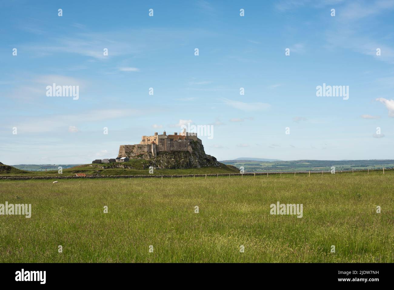 Lindisfarne Castle erbaut auf einem felsigen Hügel, (Holy Island) Northumberland, England mit Gras im Vordergrund und blauem Himmel. Stockfoto