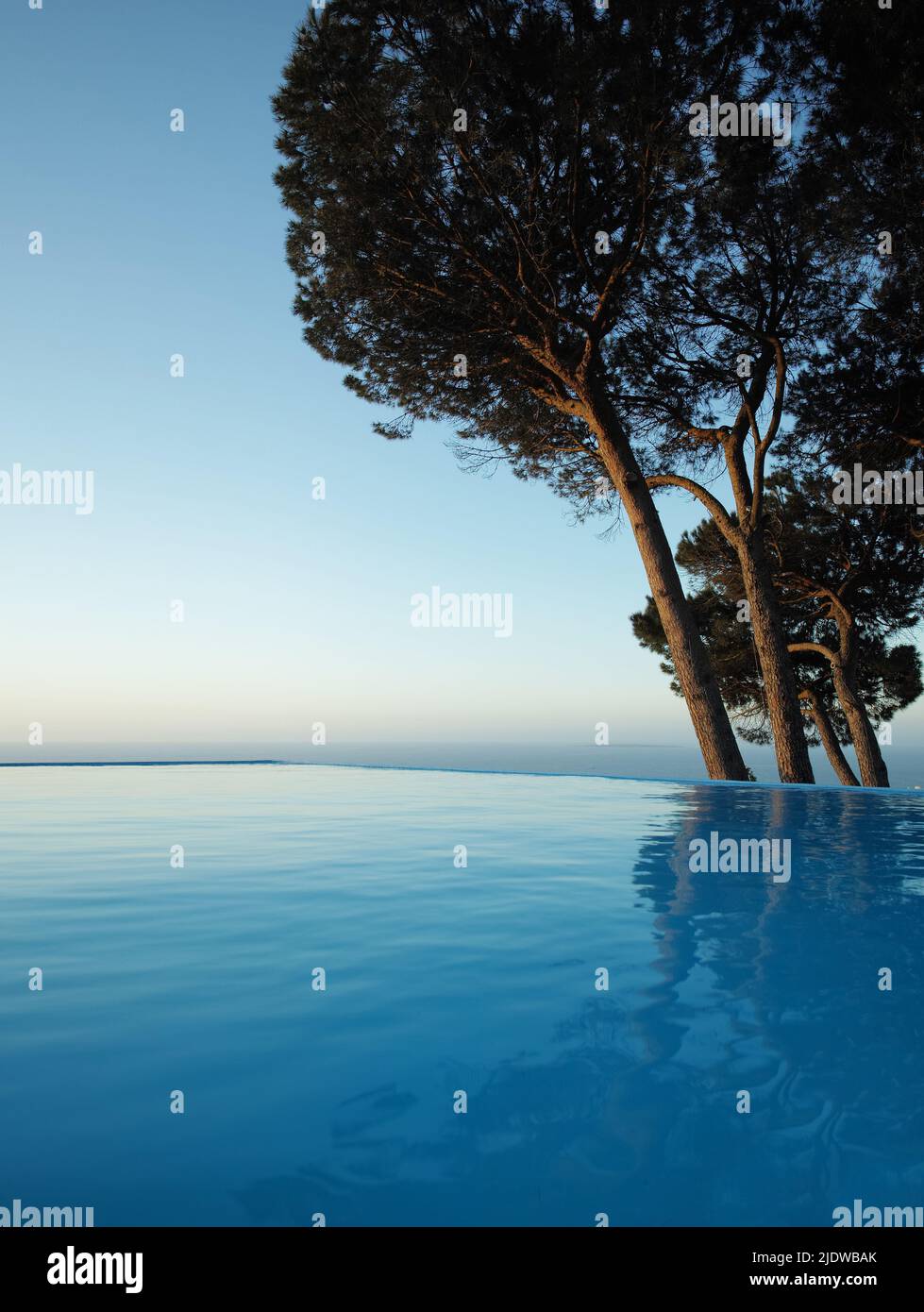 Randloser Pool mit Bäumen und blauem Himmel im Hintergrund. Schöner Außenpool im Resort oder Luxus-Ferienvilla. Romantischer Kurzurlaub mit Meer Stockfoto