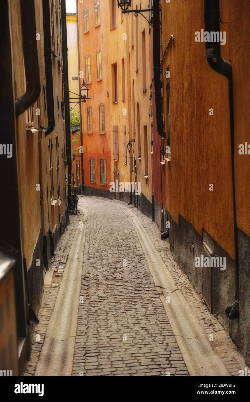 Ruhige, leere gepflasterte Straße in einer kleinen europäischen Touristenstadt. Eine schmale Gasse in einer ländlichen Stadt, umgeben von hohen Mehrfamilienhäusern oder roten Häusern Stockfoto