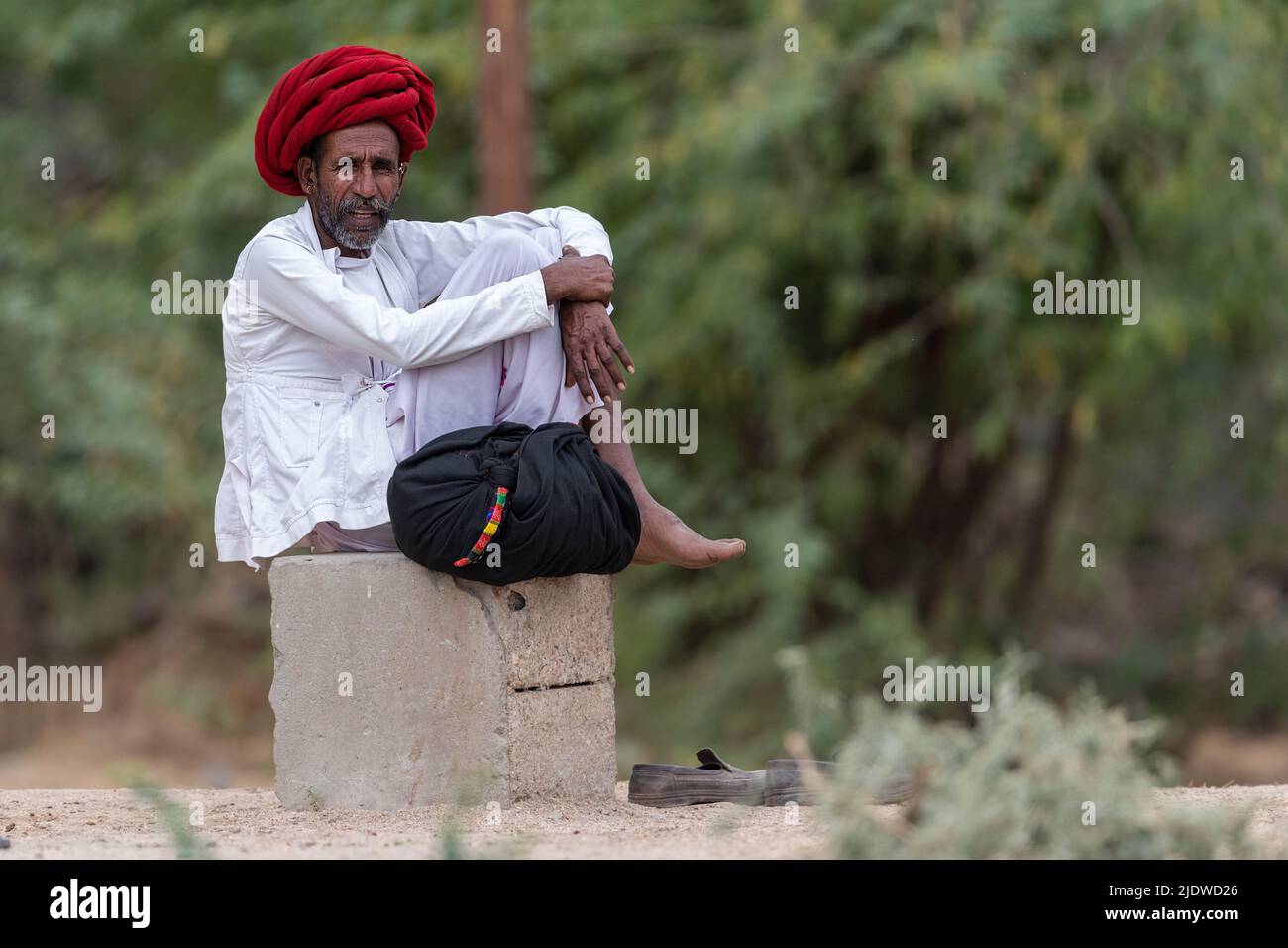 Mann aus rajasthan, Indien. Stockfoto