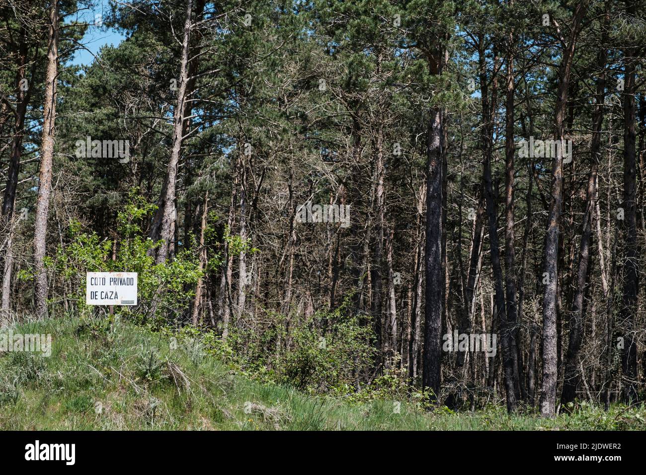 Spanien, Camino de Santiago. Schild mit der Bezeichnung eines privaten Jagdreservaten, angrenzend an den Camino in den Oca-Bergen, auf dem Weg nach San Juan de Ortega. Stockfoto