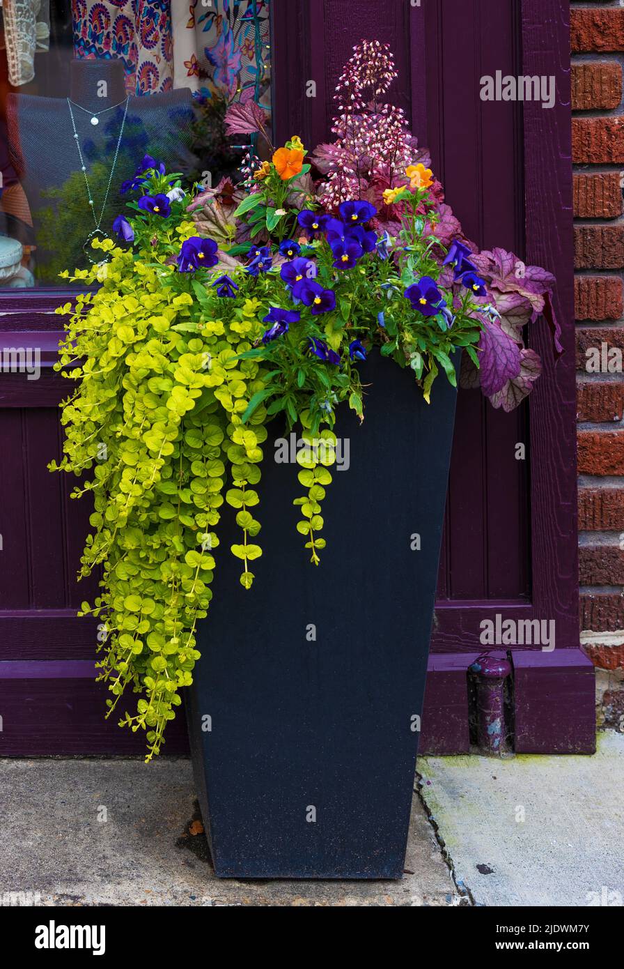 Nahaufnahme eines hohen Blumentopfes mit einer Reihe von Pflanzen und Blumen, die vor einem Schaufenster sitzen. Stockfoto