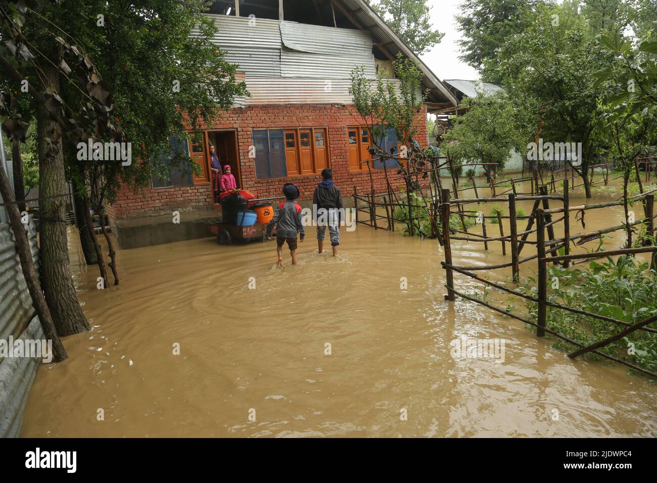 Srinagar, Jammu und Kaschmir, Indien: 22. Juni 2022, 22. Juni, 2022, Srinagar, Jammu und Kashmir, Indien: Kinder wandern nach heftigen Regenfällen in Pattan nördlich von Srinagar, Kashmir, durch Hochwasser. Schwere Regenfälle haben in den letzten Tagen Teile der Region überschwemmt, Überschwemmungen und Erdrutsche ausgelöst und zur Schließung der strategischen Nationalstraße Jammu-Srinagar führen können. Die Schulen wurden als Vorsichtsmaßnahme geschlossen.das Meteorologische Büro hat die Menschen gewarnt, nicht in die Nähe schlampiger Kallas zu gehen oder zu arbeiten, da es oft plötzlich zu einer Sturzflut kommt. (Bild: © Sajad Hameed/Paci Stockfoto