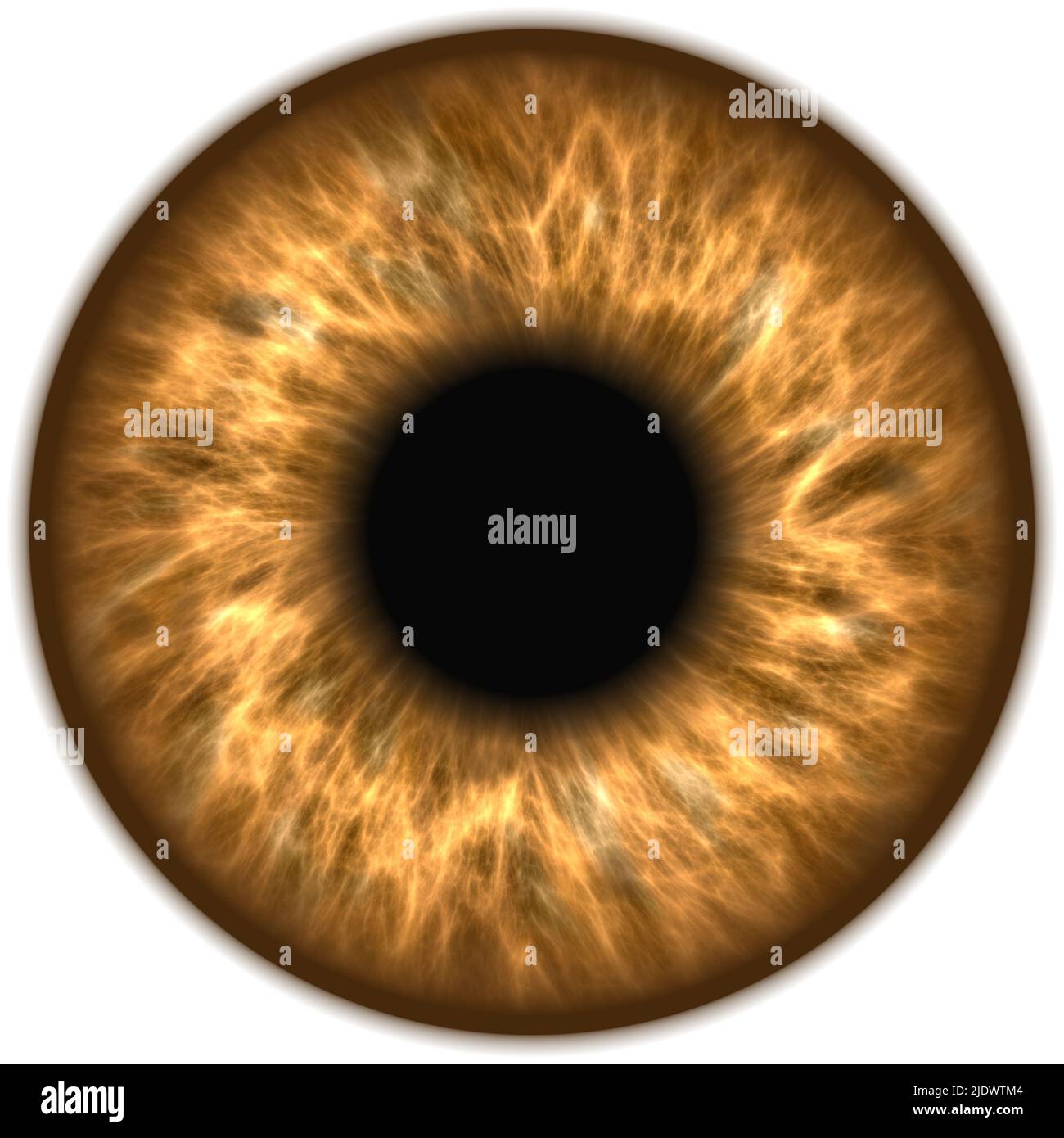 Menschen auge iris -Fotos und -Bildmaterial in hoher Auflösung – Alamy