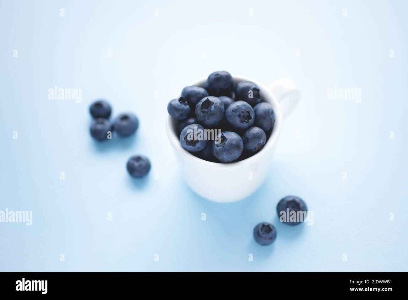 Weiße Tasse mit reifen Blaubeeren isoliert auf pastellblauem Hintergrund. Stockfoto