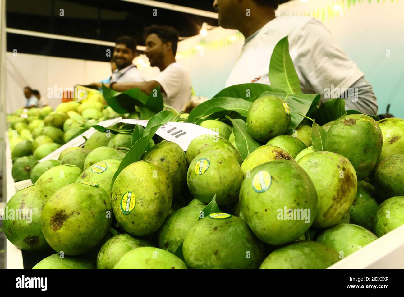 Kalkutta, Westbengalen, Indien. 23.. Juni 2022. Die Eröffnungssitzung von Bengalen Mango Utsav 2022 wurde vom Bürgermeister von Kalkutta, Shri Firhad Hakim, Herrn Subrata Saha Hon'ble Minister for Food Processing Industries & Horticulture, Government of West Bengal, Dr. Subrata Gupta zusätzlicher Chief Secretary, Department of Food Processing Industries and Horticulture, Regierung von Westbengalen, Sovandeb Chattopadhyay, Minister für Strom und nichtkonventionelle Energie, Regierung von Westbengalen und Dr. Rajeev Singh, Generaldirektor der indischen Handelskammer. Bengal Mango Utsav von 2012 und mit Stockfoto