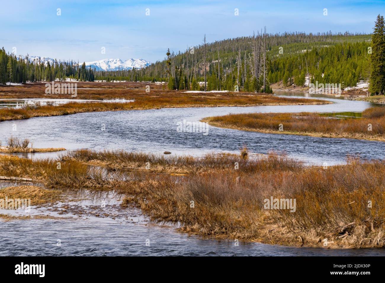 Snake River, der sich durch den Yellowstone National Park, Wyoming, dreht und windet Stockfoto