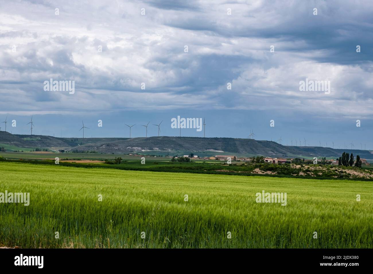 Spanien, Castrojeriz, Castilla y Leon. Erneuerbare Energie: Windmühlen säumten das Wappen eines Hügels in der Nähe von Castrojeriz. Stockfoto