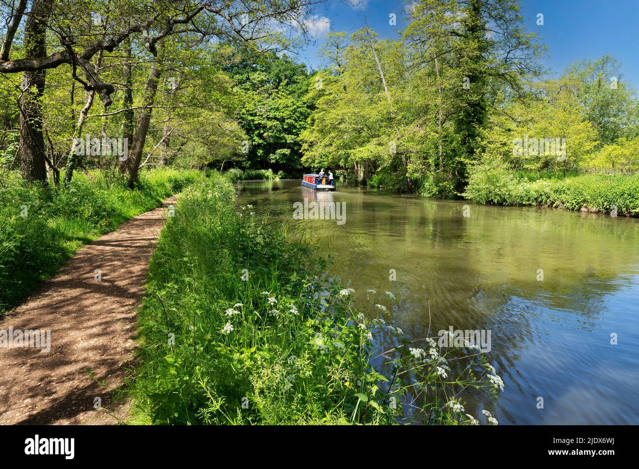 Die River Wey Navigation in Guildford an einem Sommermorgen, Surrey, Großbritannien. Stockfoto