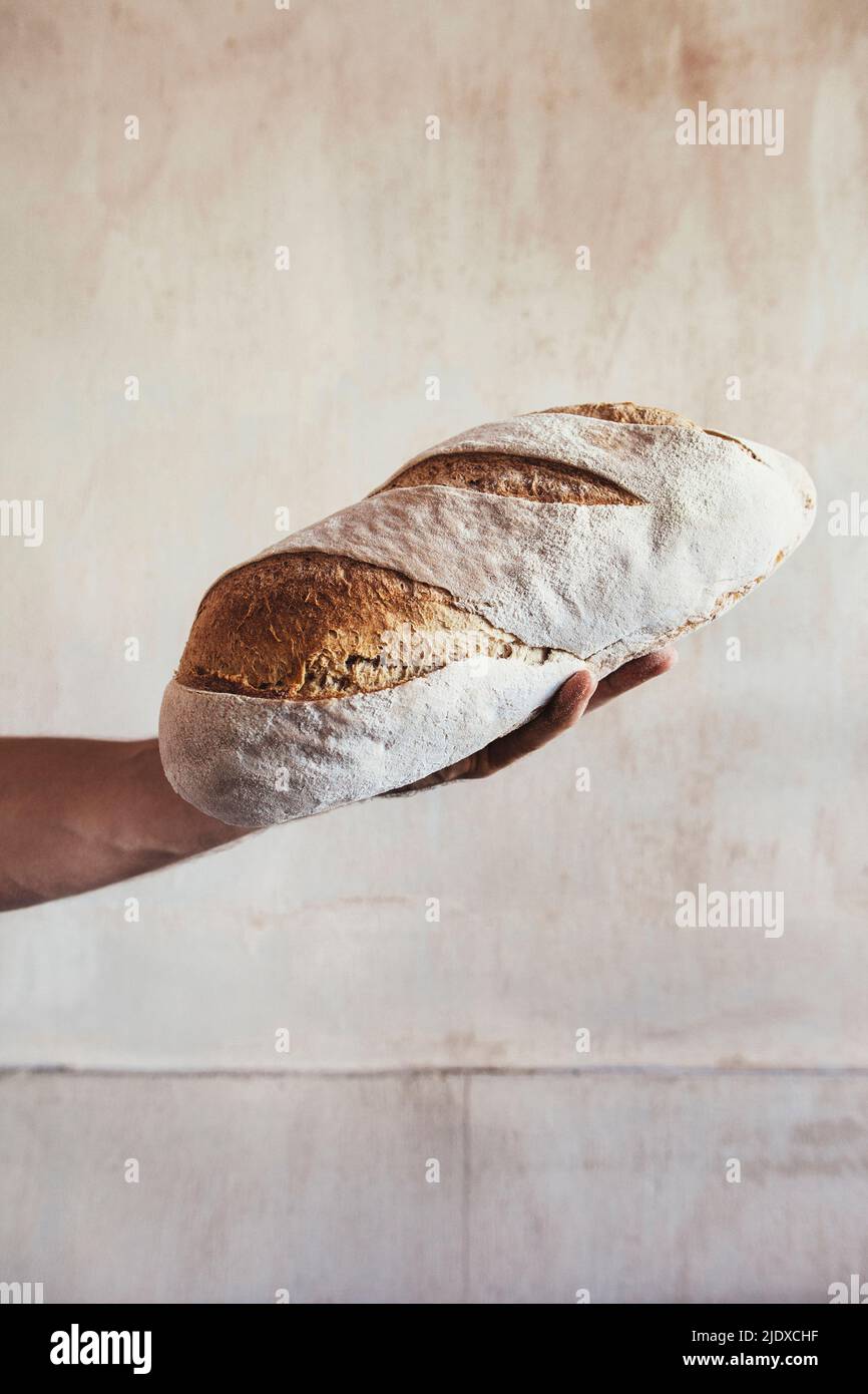 Hand des Bäckers hält frisch gebackenes Koiuntry-Brot vor der Wand Stockfoto