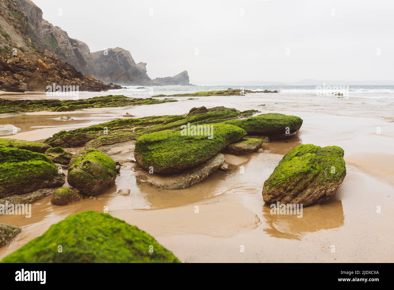 Grünes Moos auf Felsen inmitten des Wassers am Strand Stockfoto