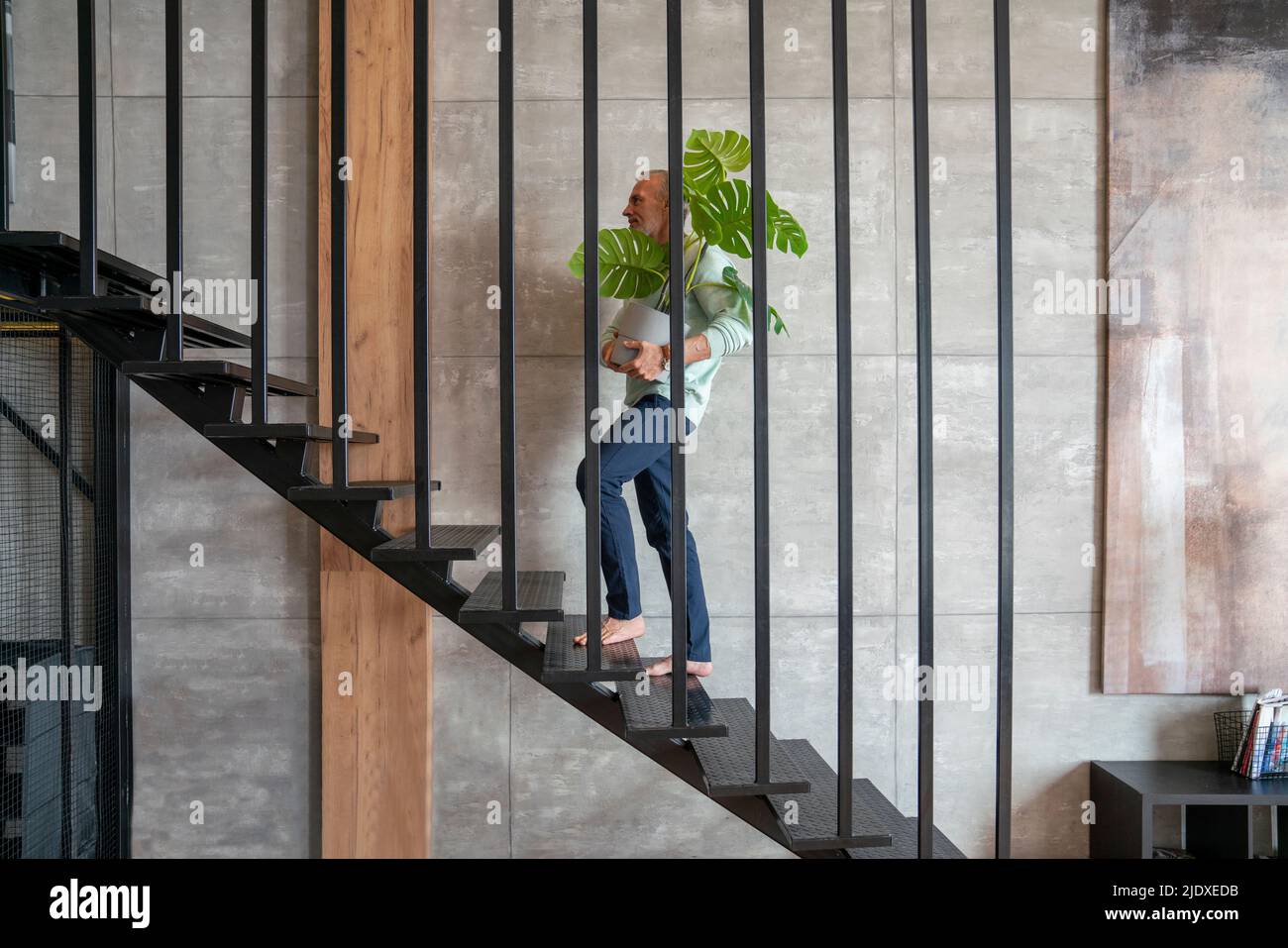 Mann, der die Zimmerpflanze hält, bewegt sich zu Hause auf der Treppe nach oben Stockfoto