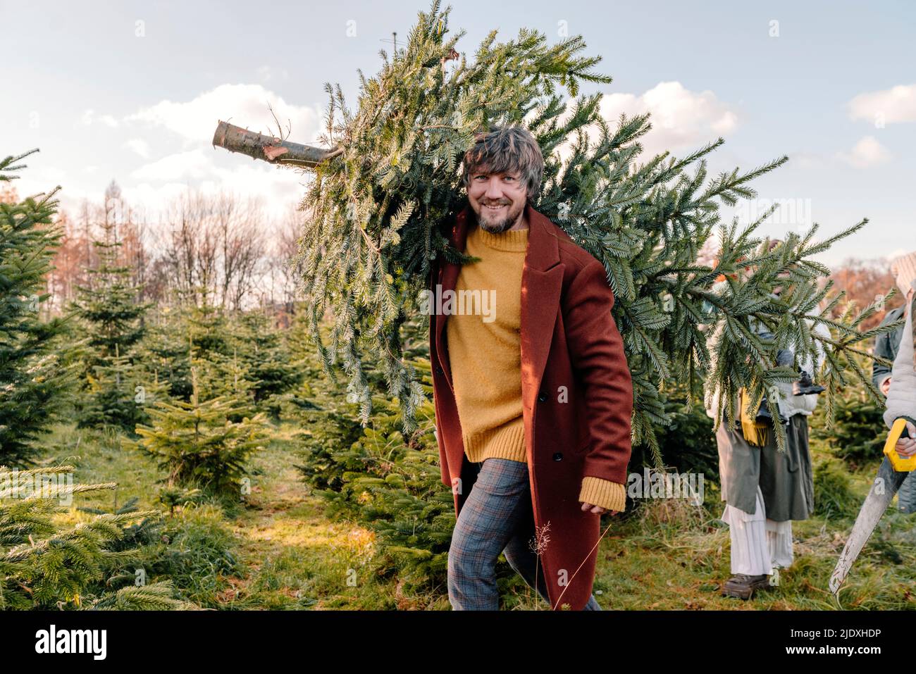 Mann, der Weihnachtsbaum auf der Schulter auf dem Bauernhof trägt Stockfoto